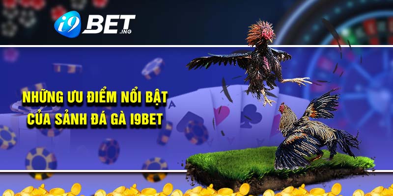 Outstanding advantages of i9bet cockfighting hall